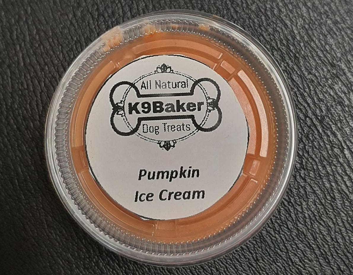K9Baker - Pumpkin Ice Cream for Dogs