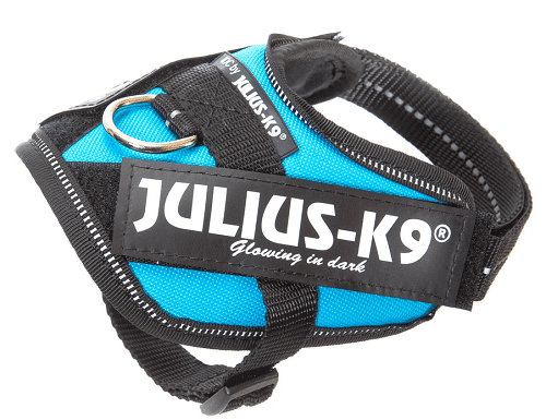 JuliusK IDC®Powerharness Aquamarine