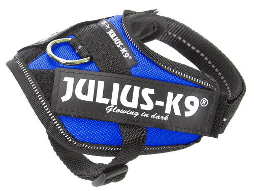 JuliusK IDC®Powerharness Blue