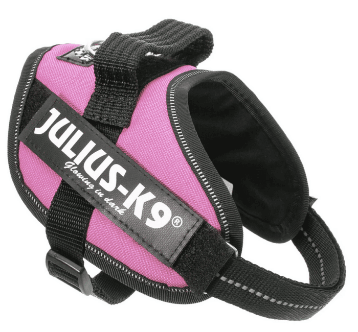 JuliusK IDC®Powerharness Pink