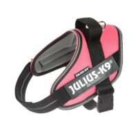 Julius K9 IDC® Powair Breathable Harness Pink Everything Raw