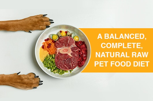 Everything Raw March Thumbnail  What foods are in a raw pet food diet beside the meat