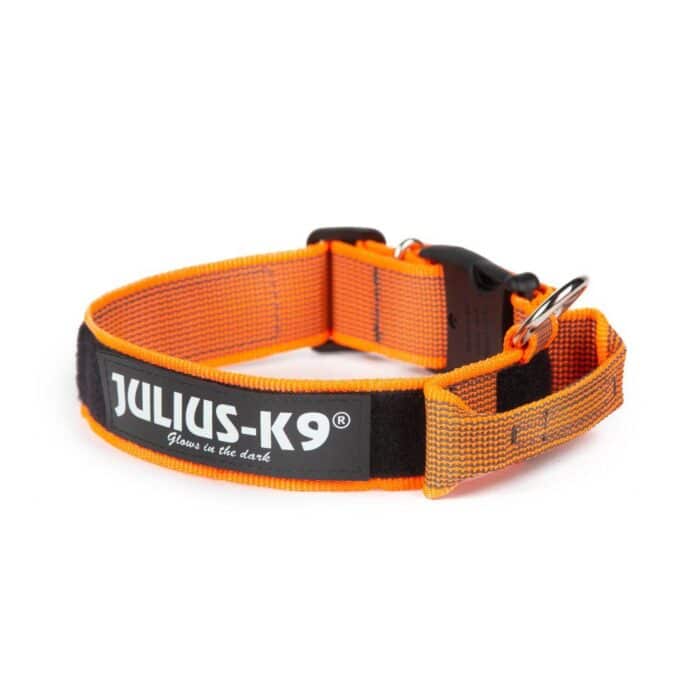 JuliusK Collar with Handle Orange