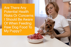 can I feed my puppy raw food