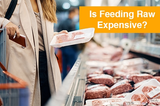 Is feeding raw expensive