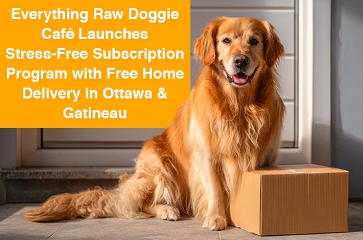 Everything Raw Doggie Café Launches Flexible Subscription Program